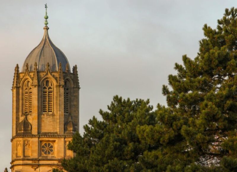 Oxford: Alumni Led Walking & Punting Tour W/New College - Key Points
