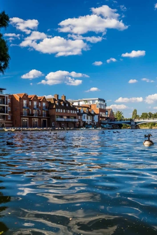 Oxford, Blenheim Palace & Bicester Village: Luxury Day Tour - Important Considerations