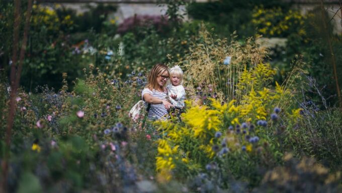 Oxford: Botanic Garden Entry Ticket - Visitor Entry and Hours