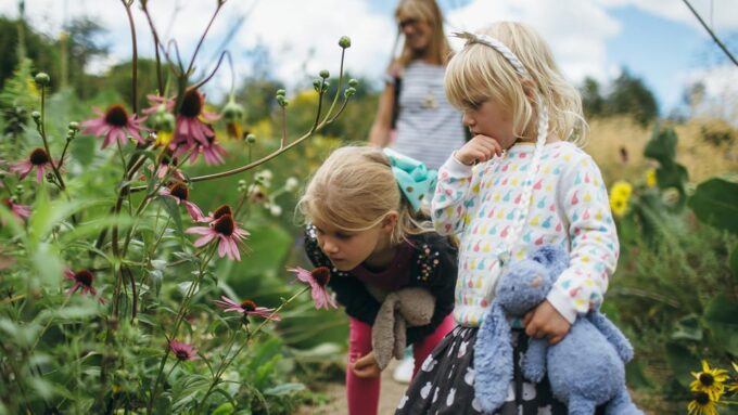 Oxford: Botanic Garden Entry Ticket - Frequently Asked Questions
