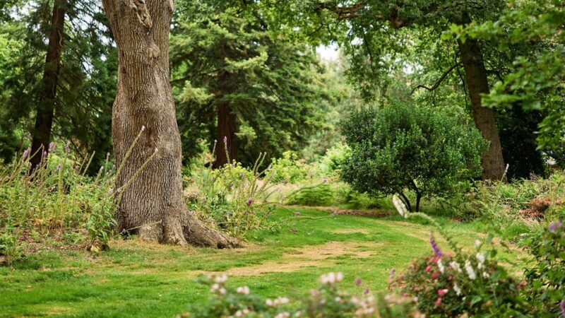 Oxford: Harcourt Arboretum Entry Ticket - Good To Know