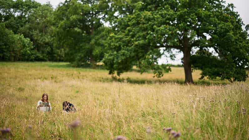 Oxford: Harcourt Arboretum Entry Ticket - Native Woodland