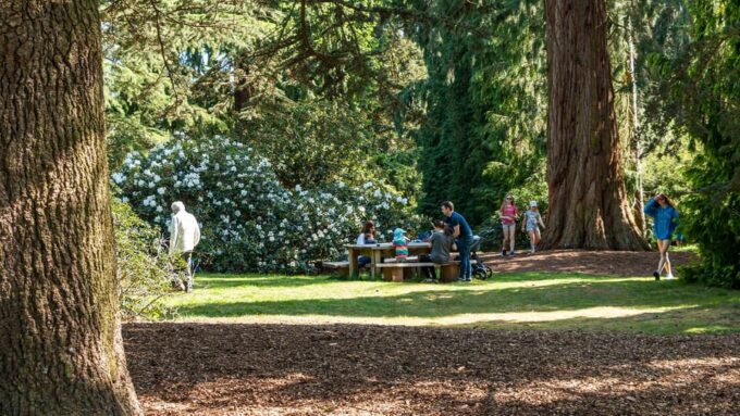 Oxford: Harcourt Arboretum Entry Ticket - Pinetum and Serpentine Ride