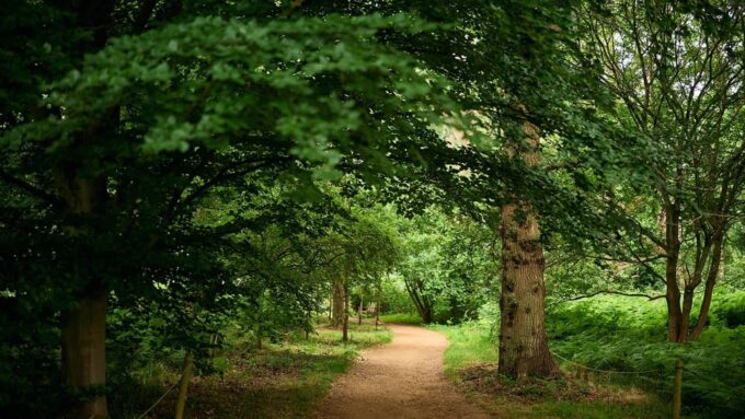 Oxford: Harcourt Arboretum Entry Ticket - Seasonal Highlights