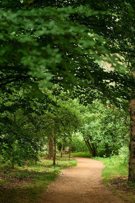 Oxford: Harcourt Arboretum Entry Ticket - Frequently Asked Questions