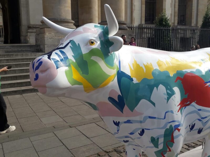 Oxford: Highlights of the City and University - Tour Itinerary