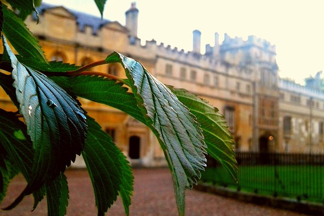 Oxford PRIVATE Pub and City Evening Walking Tour - Transportation and Accessibility
