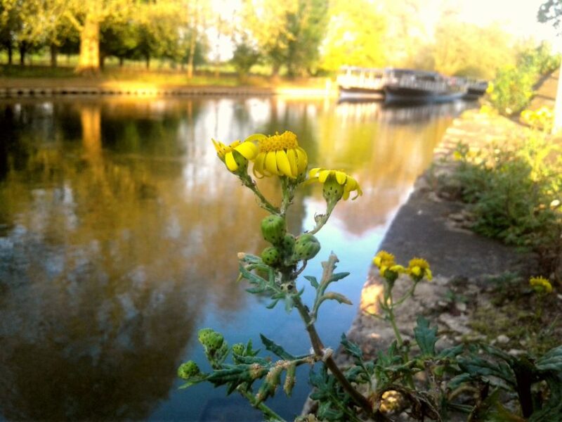 Oxford: River Cruise and Walking Tour to Iffley Village - Exploring Iffley Village