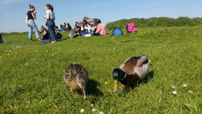 Oxford: River Cruise and Walking Tour to Iffley Village - Optional Drinks Stop