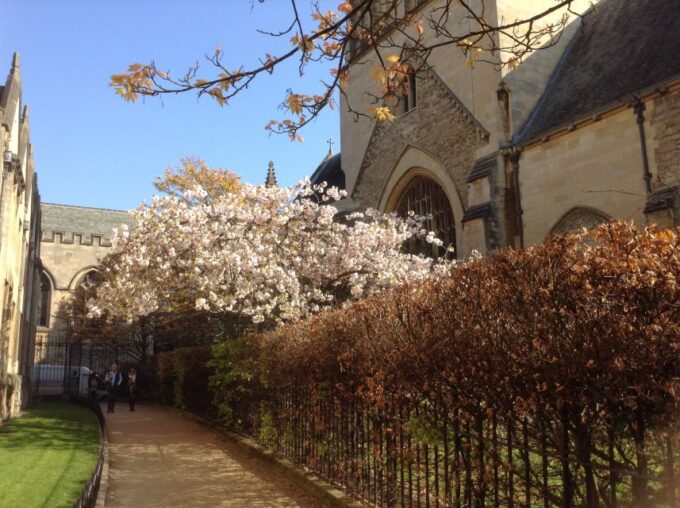 Oxford: Simply Oxford University Walking Tour - Booking and Cancellation Policy