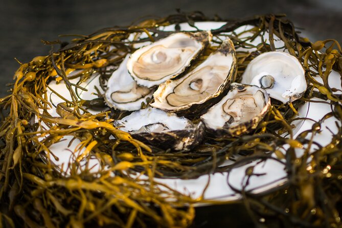 Oyster Farm and Tasting Experience - Oyster Farming Insights