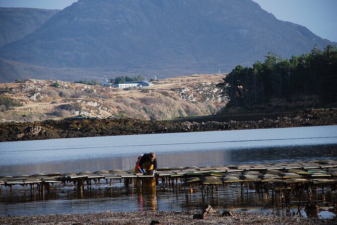 Oyster Farm and Tasting Experience - Passionate Guide Profiles