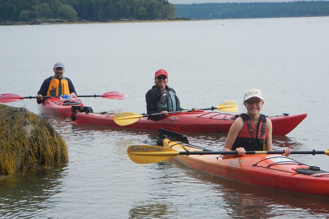 Oyster Farm & Complimentary Tasting Sea Kayak Tour in Casco Bay - Wildlife and Scenery