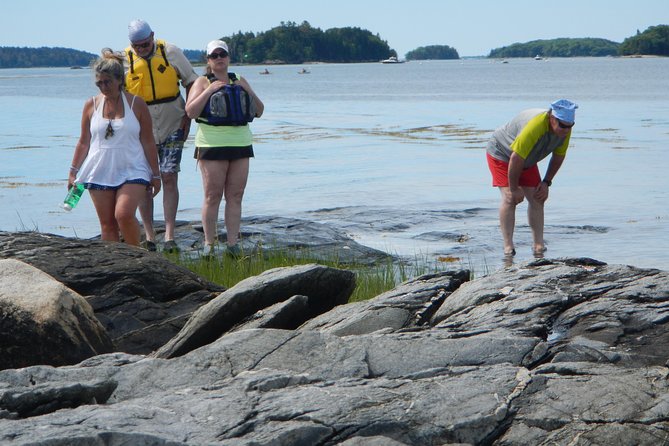 Oyster Farm & Complimentary Tasting Sea Kayak Tour in Casco Bay - Inclusions