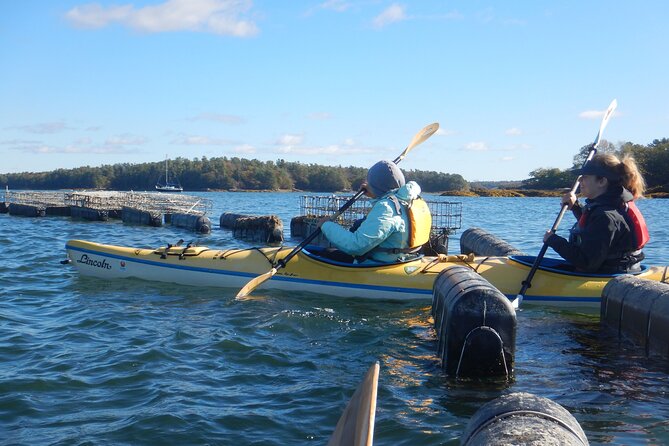 Oyster Farm & Complimentary Tasting Sea Kayak Tour in Casco Bay - COVID-19 Measures
