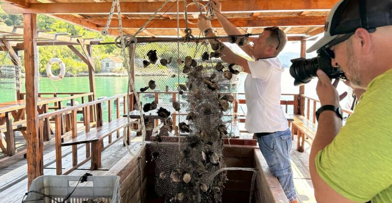 Oyster Farm Experience-Private Day Trip From Dubrovnik - Scenic and Cultural Highlights