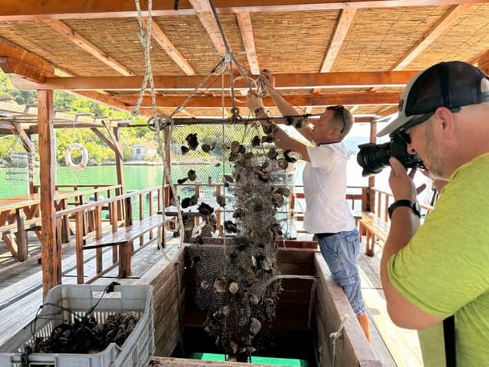 Oyster Farm Experience-Private Day Trip From Dubrovnik - Oyster Farm Experience