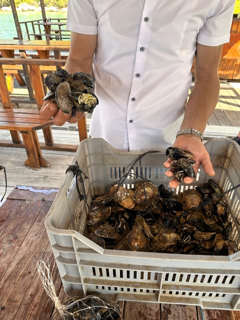 Oyster Farm Experience-Private Day Trip From Dubrovnik - Tour Logistics
