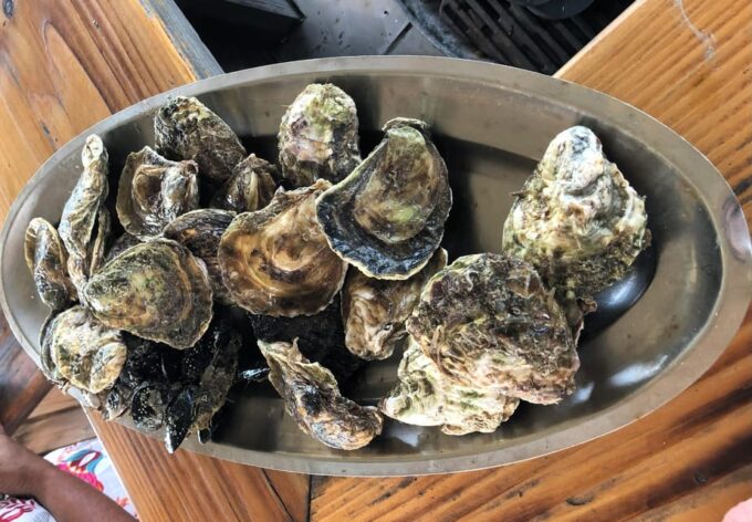 Oyster Farm Experience-Private Day Trip From Dubrovnik - Inclusions and Exclusions