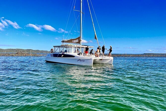 Oyster Farm Tour - Exploring Brisbane’s Oyster Farm Tour: A Fresh Take on Seafood & Scenic Sailing
