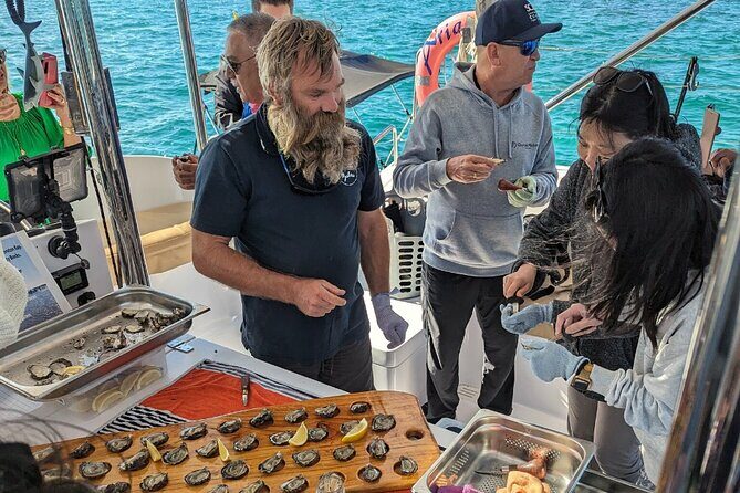 Oyster Farm Tour - Why This Tour Works Well