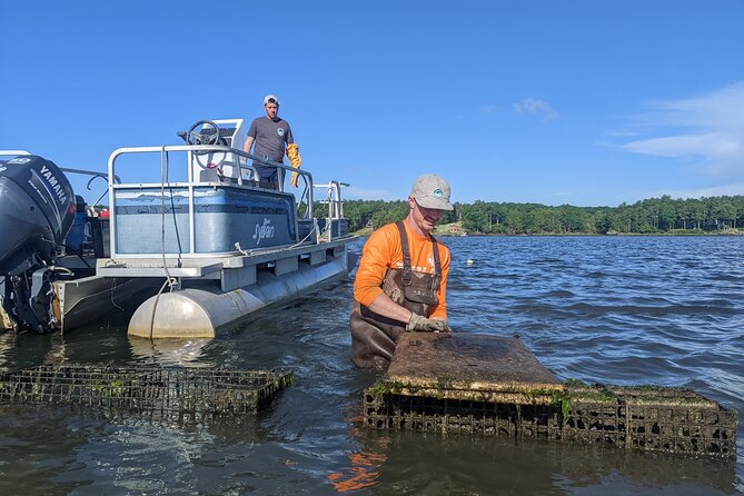 Oyster Tasting and Kayak Tour - Accessibility and Requirements