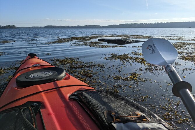 Oyster Tasting and Kayak Tour - Preparing for the Adventure