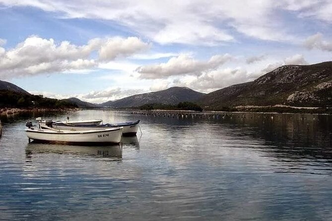 Oysters and Mussels Tasting With Wine in Ston and PelješAc - Exploring the Culinary Menu