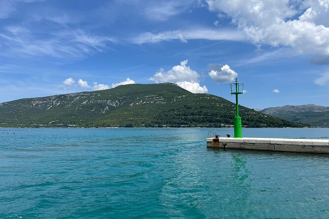 Oysters and Mussels Tasting With Wine in Ston and PelješAc - Cancellation Policy