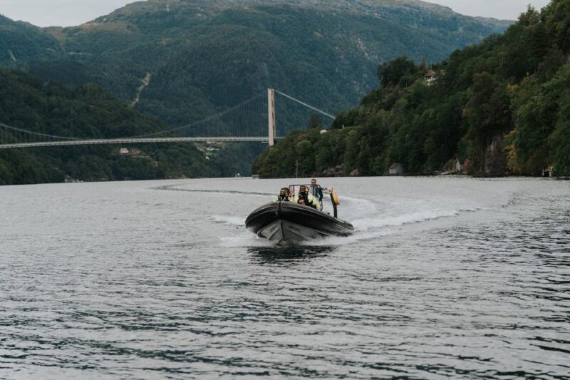 Øystese: Exclusive RIB Hardangerfjord Safari to Fyksesund - Itinerary Details