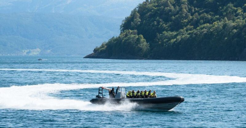 Øystese: Exclusive RIB Hardangerfjord Safari to Fyksesund - Tour Experience