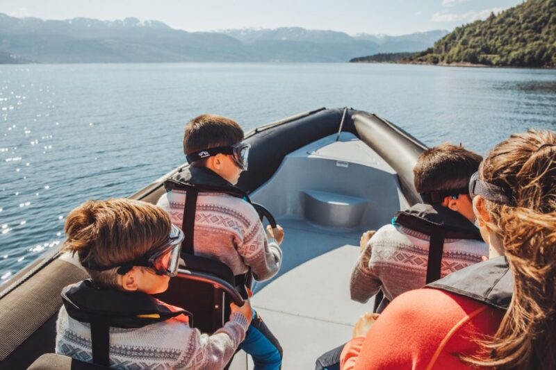 Øystese: Hardangerfjord and Fyksesund RIB Fjord Adventure - Customer Reviews and Ratings