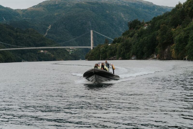 Øystese: Hardangerfjord RIB Safari to the Fyksesund Branch - Itinerary Details