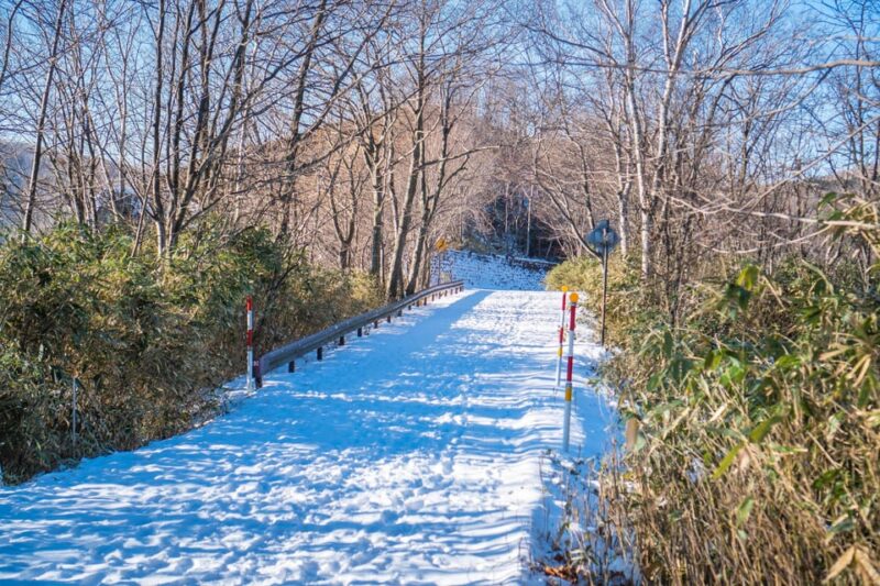 Oyunuma Hot Spring Pond Viewing Point Tour - Itinerary