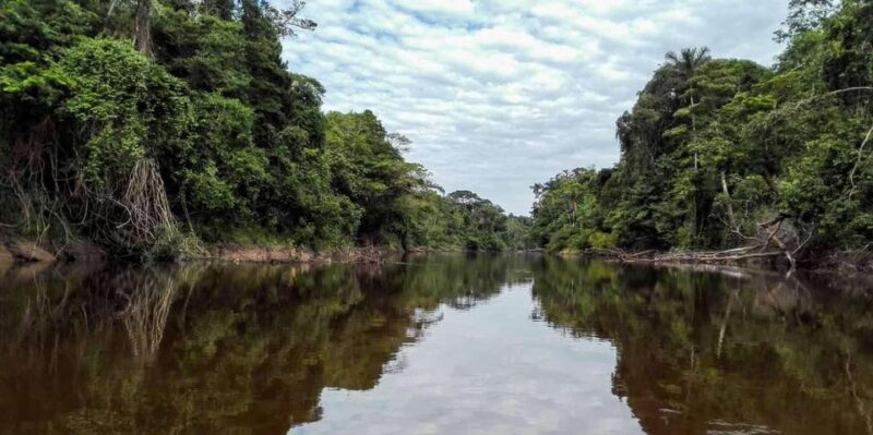 Pacaya Samiria 4-Day Tour - Day 4