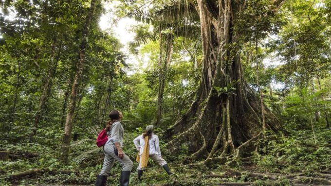 Pacaya Samiria Iquitos 4 Days Mistical Experience - Cancellation and Refund Policy