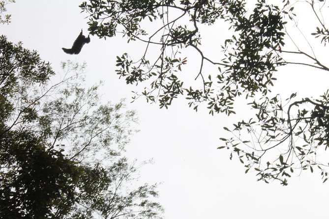 Pacaya Samiria National Park Full Day Tour - Customer Reviews and Ratings