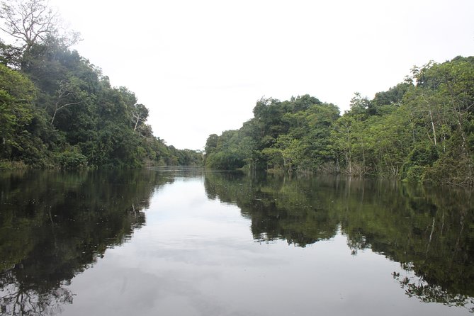Pacaya Samiria National Park Full Day Tour - Highlights of Pacaya Samiria