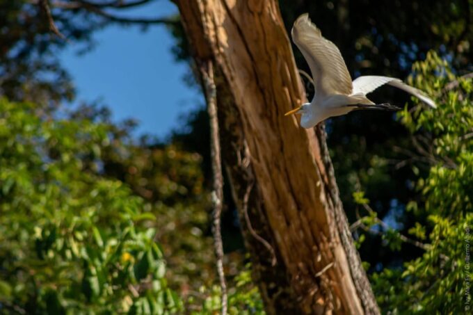 Pacaya Samiria Reserve – 3 Days and 2 Nights - Meeting Point and Location