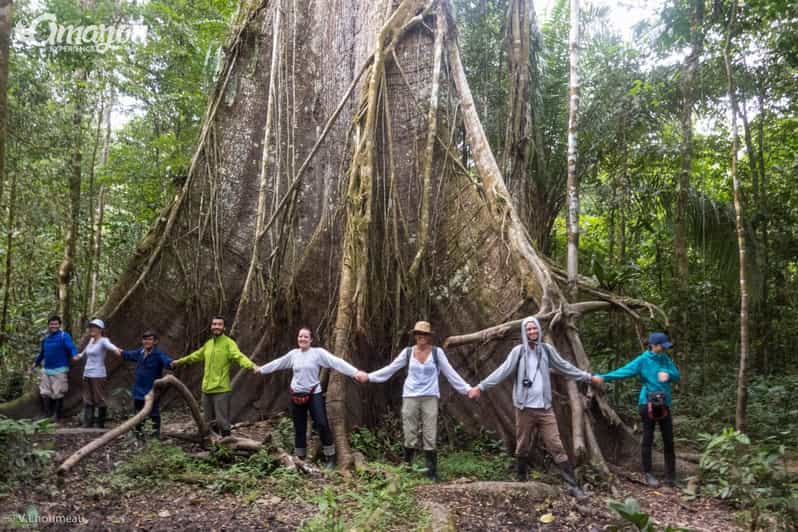 Pacaya Samiria Reserve – 5 Days and 4 Nights - Towering Rainforest Canopy