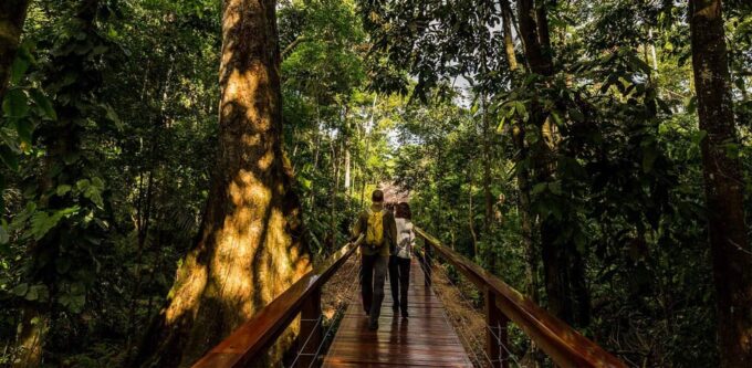 Pacaya Samiria Three-Day Adventure - Wildlife Encounters in the Amazon