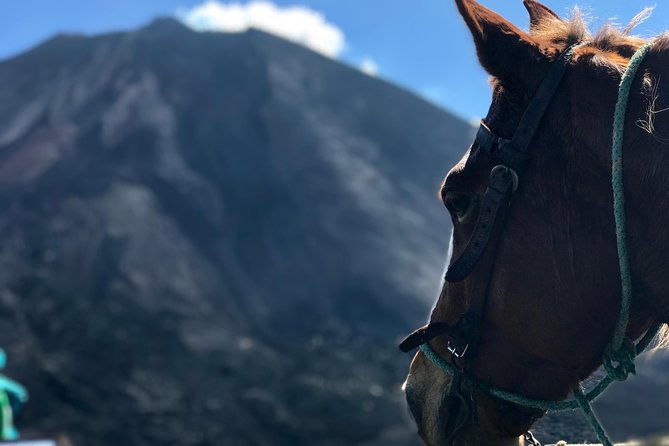Pacaya Volcano and Thermal Pools - Key Points
