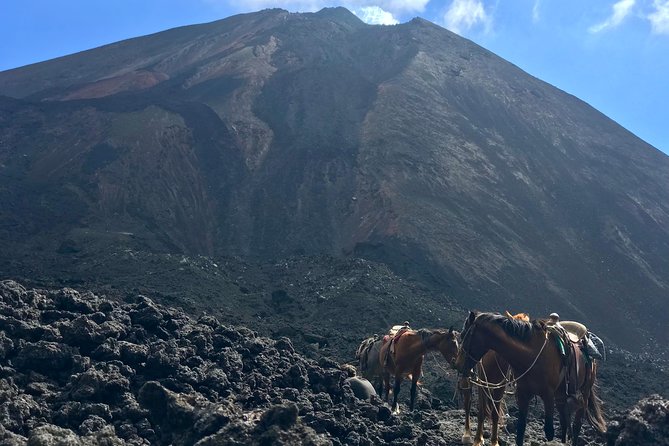 Pacaya Volcano and Thermal Pools - Tour Highlights