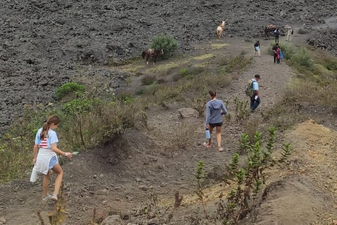 Pacaya Volcano Excursion From Guatemala City - Overview of the Excursion