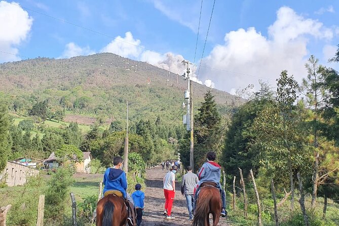 Pacaya Volcano & Guatemala City Private Tour - Hiking Experience