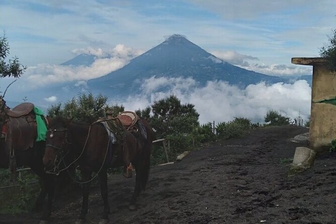 Pacaya Volcano Hike! From Puerto Quetzal - Key Points