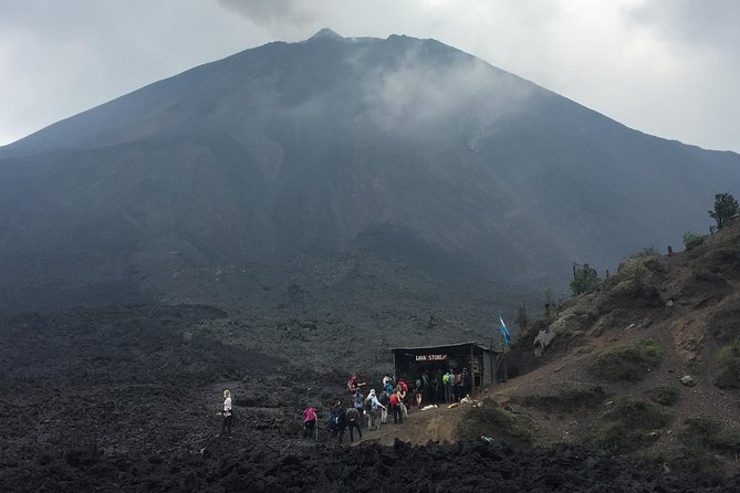 Pacaya Volcano Hike (half-day) - Highlights of the Experience