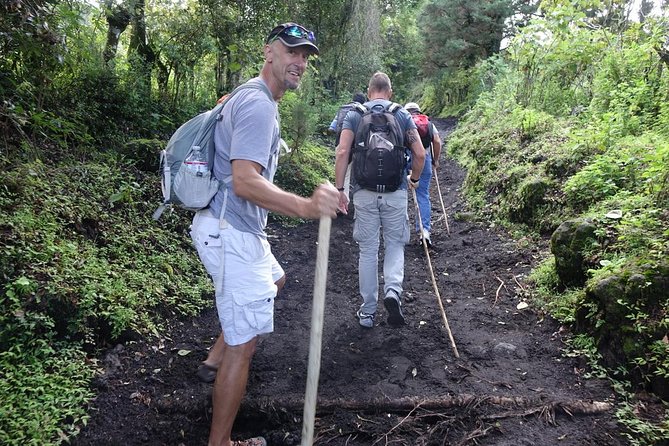 Pacaya Volcano Sunset Tour From Antigua - Tour Reviews and Ratings
