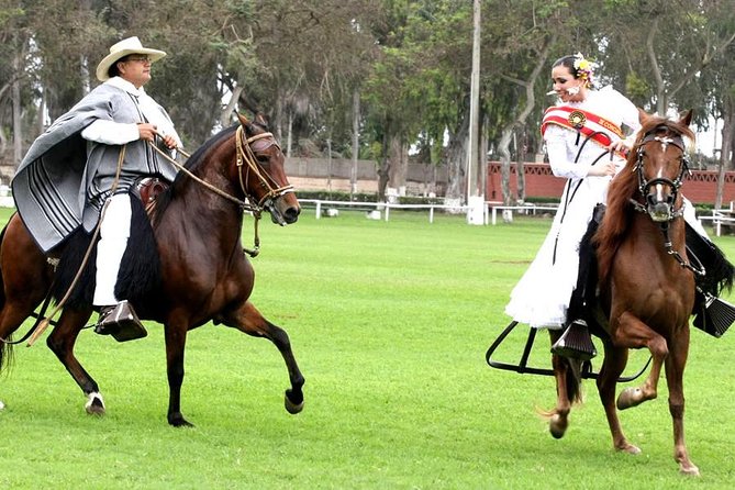 Pachacamac Pyramids, Lunch & Dance Horse Show!! Must See in Lima. - Key Points