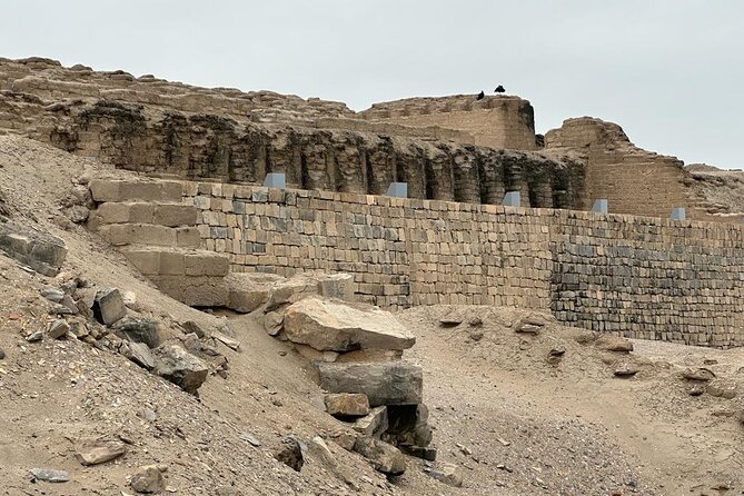 Pachacamac Tour - Traveler Reviews and Testimonials
